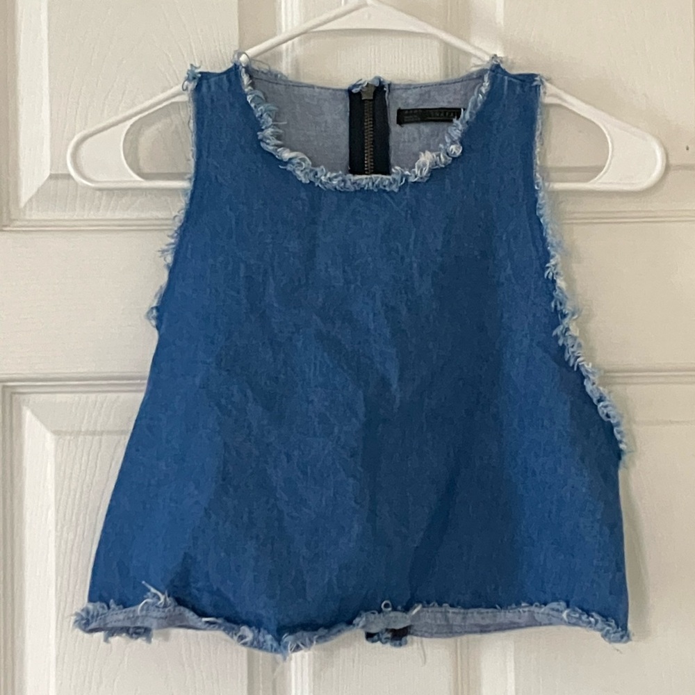 Zara Distressed Denim Crop Top